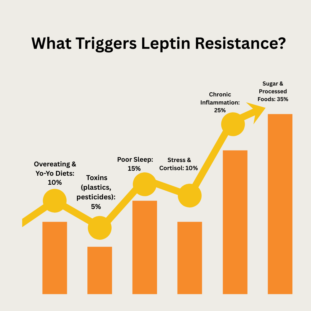 What triggers leptin resistance?
