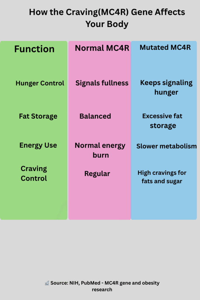 How the mc4r gene affects your body