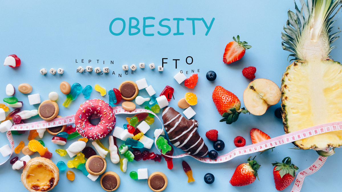 Fat gain is fueled by sugar, genes & hormones