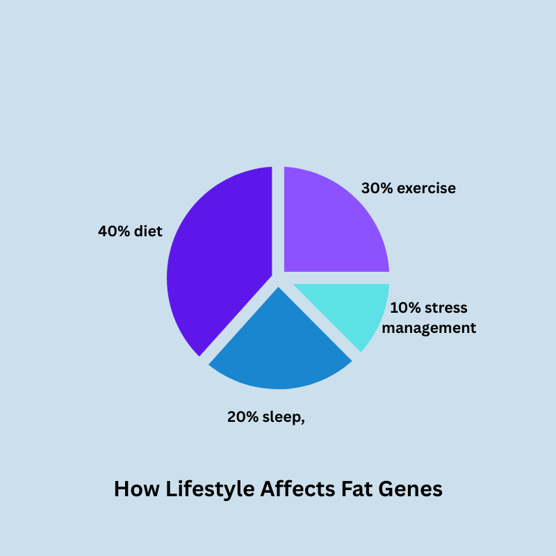 How lifestyle affects fat genes