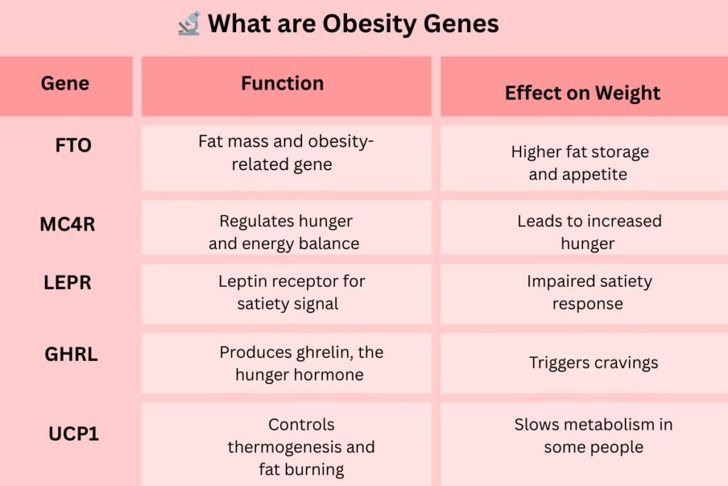 What are obesity genes?
