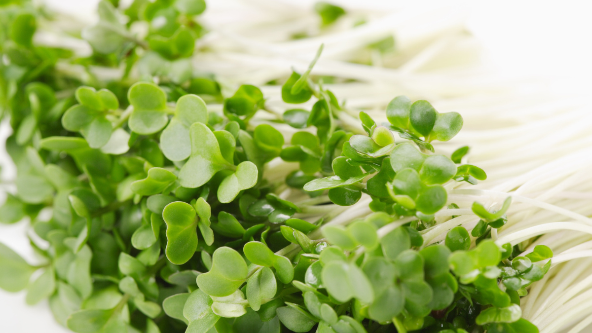 Broccoli sprouts for acne:7 powerful gene-boosting benefits