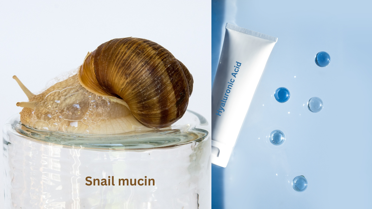 Snail mucin and hyaluronic acid — which gives glass skin?